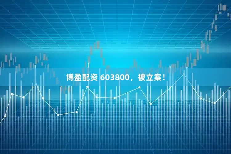 博盈配资 603800，被立案！