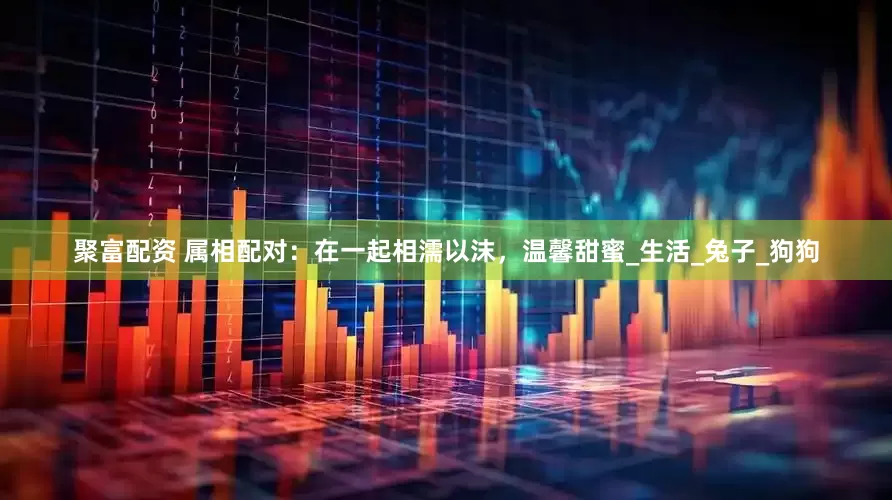 聚富配资 属相配对：在一起相濡以沫，温馨甜蜜_生活_兔子_狗狗