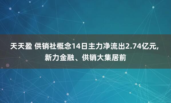 天天盈 供销社概念14日主力净流出2.74亿元, 新力金融、供销大集居前